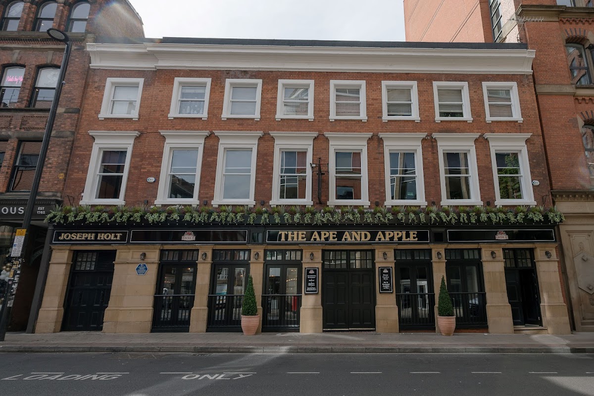 Ape and Apple — photo 3