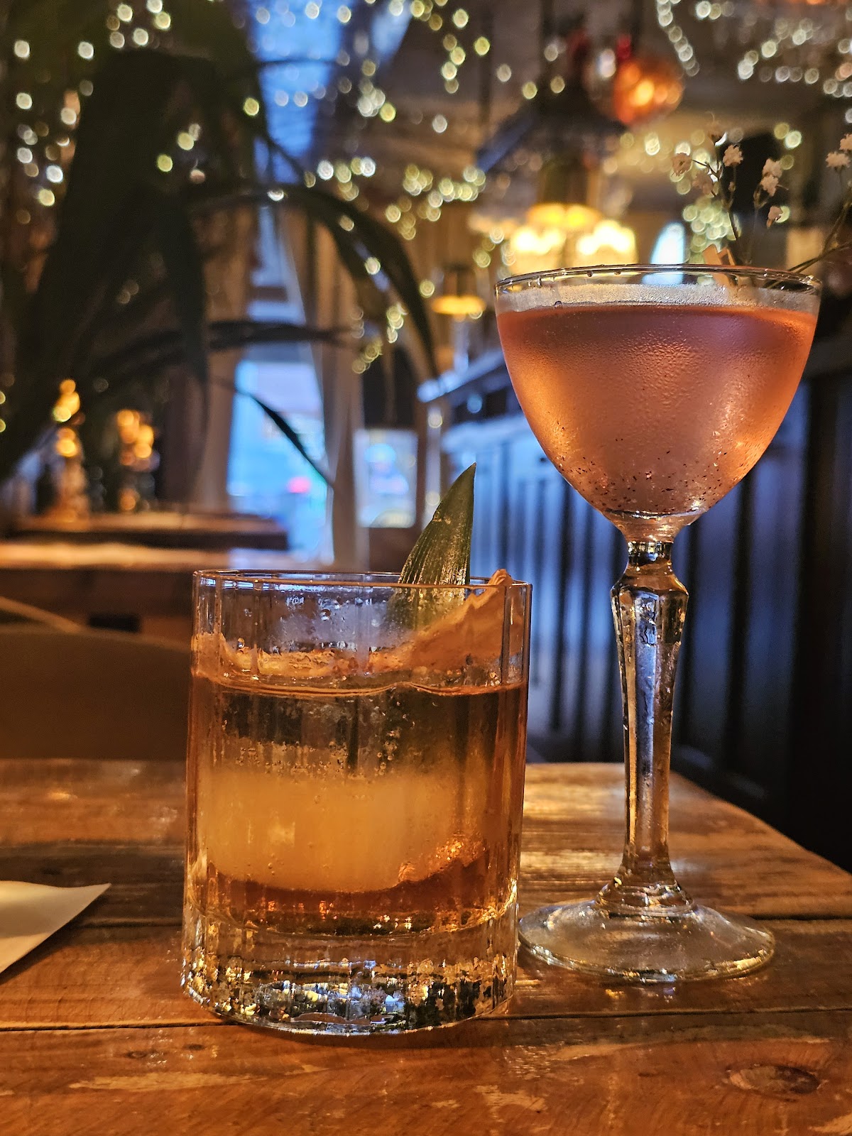 Bar Medusa — photo 3