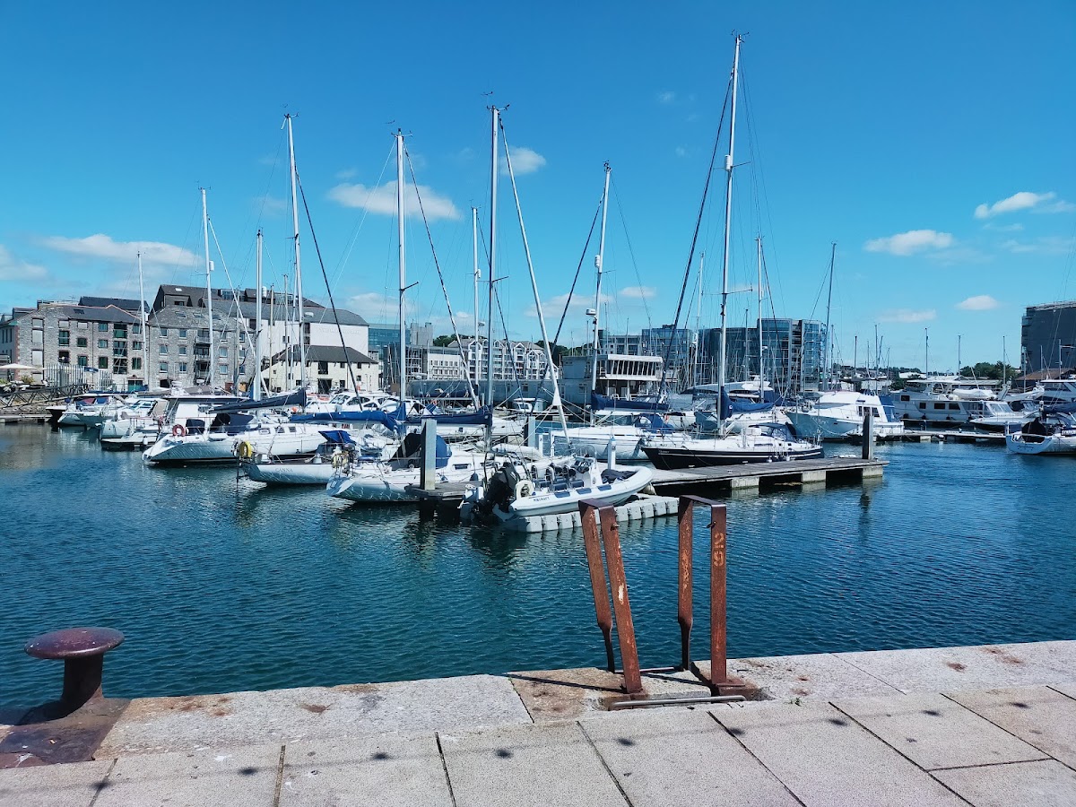 Bar Rakuda — photo 3