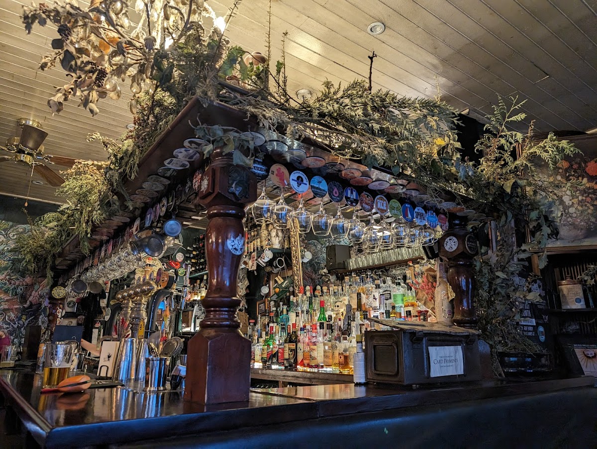 Black Dove — photo 1