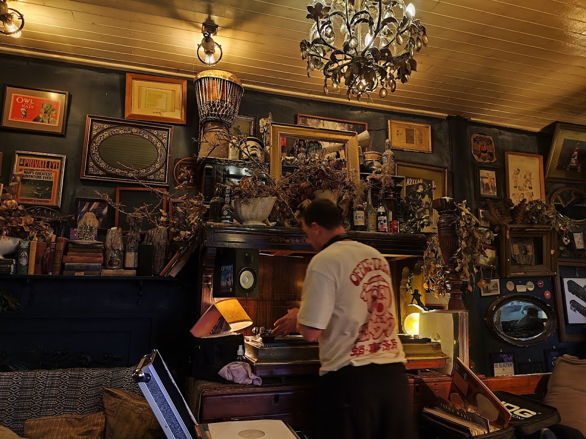 Black Dove — photo 4