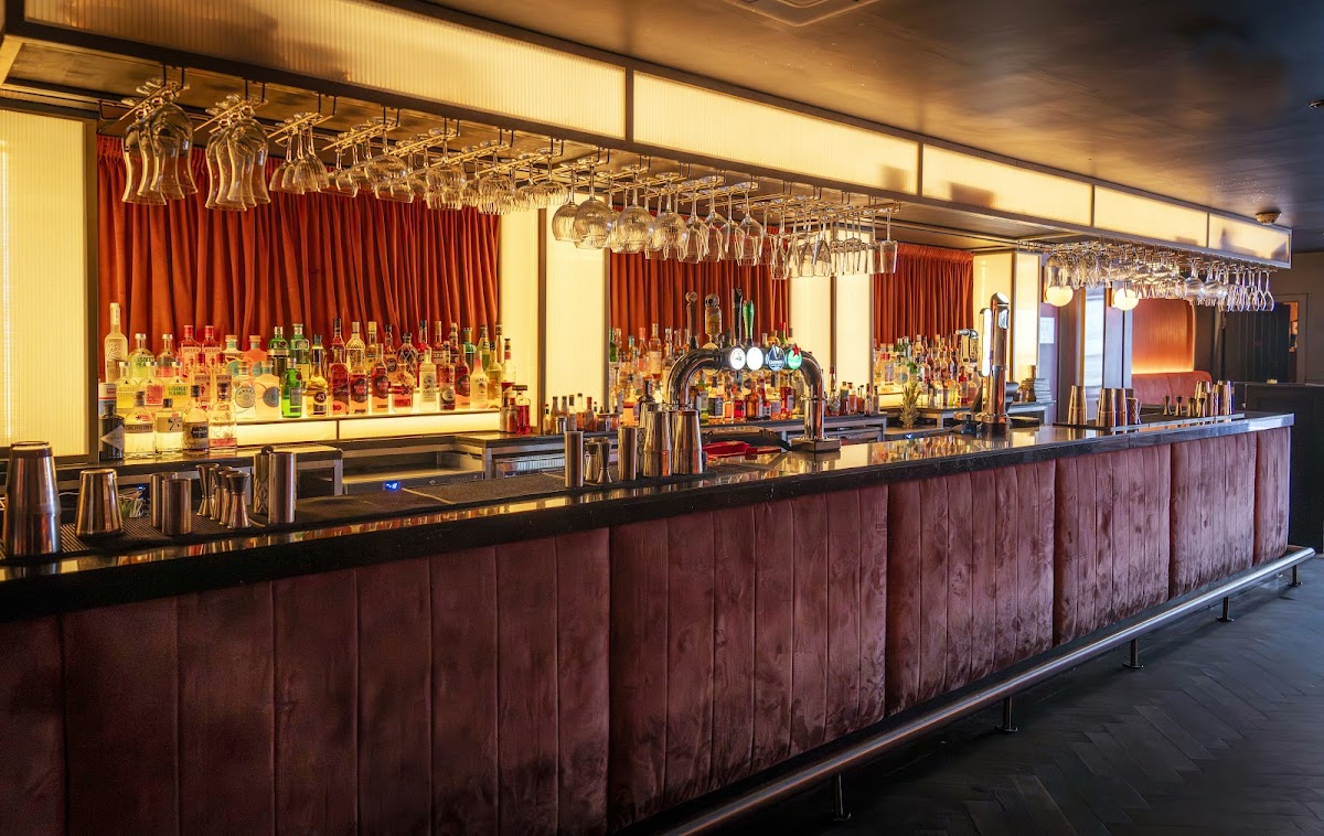 Blue Dog — photo 1