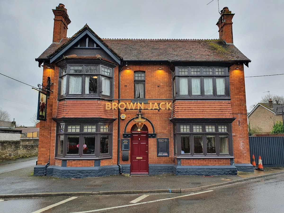 Brown Jack — photo 3