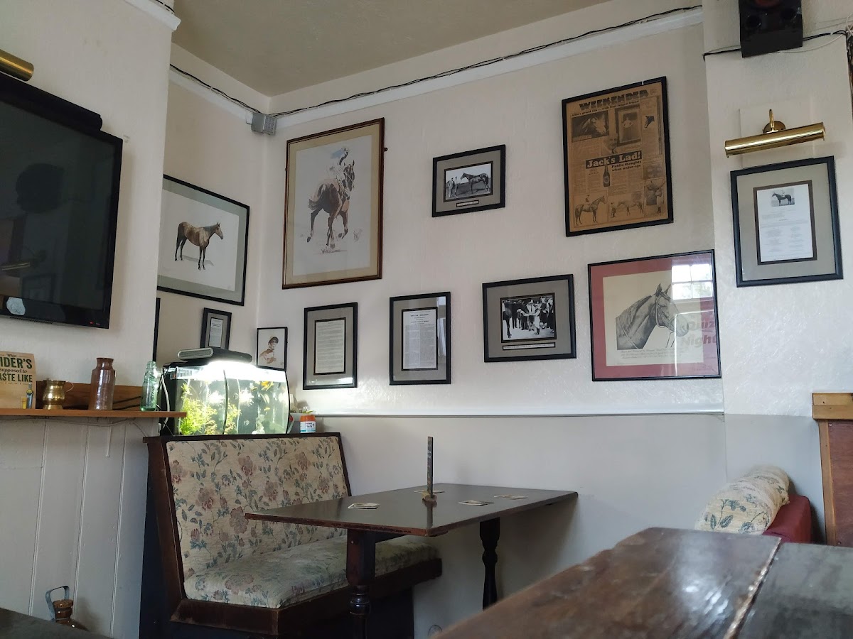 Brown Jack — photo 4