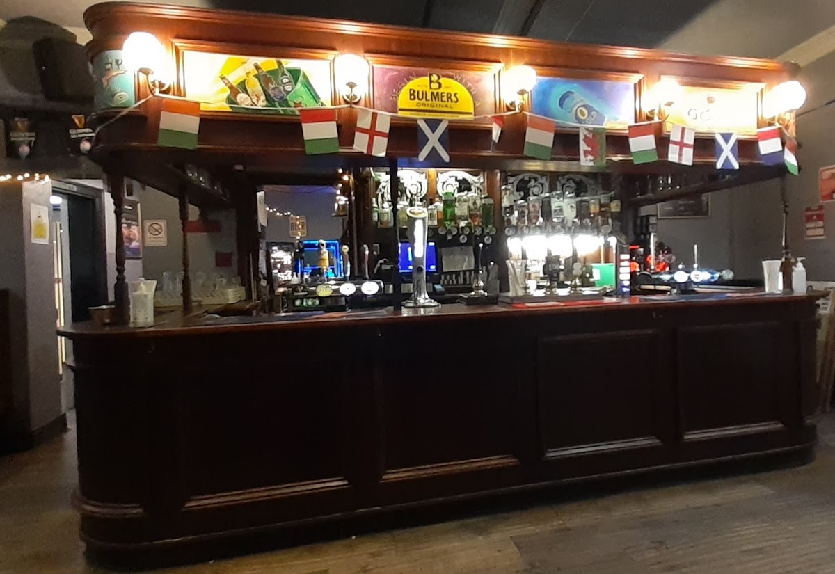 Cat & Wheel — photo 3