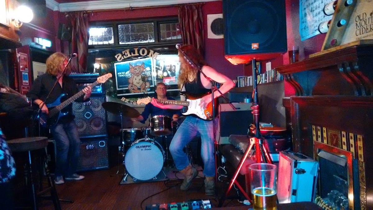 Cat & Wheel — photo 4