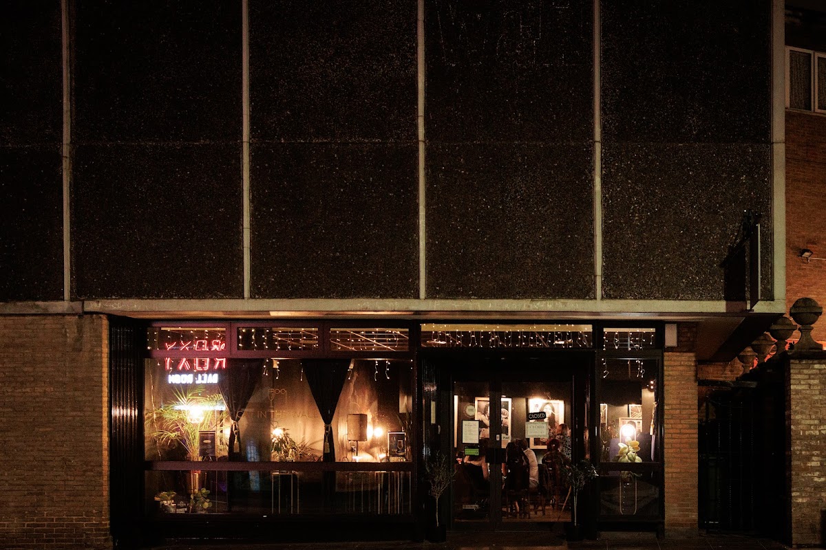 Cat In The Wall — photo 1