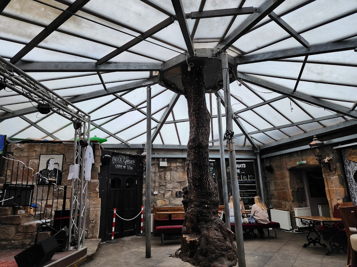 Clutha & Victoria Bar — photo 4