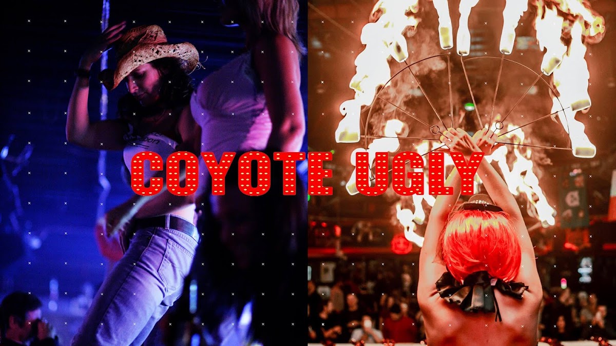Coyote Ugly Saloon Cardiff — photo 3