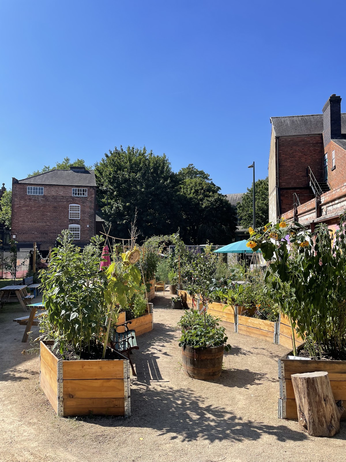 Electric Daisy — photo 1