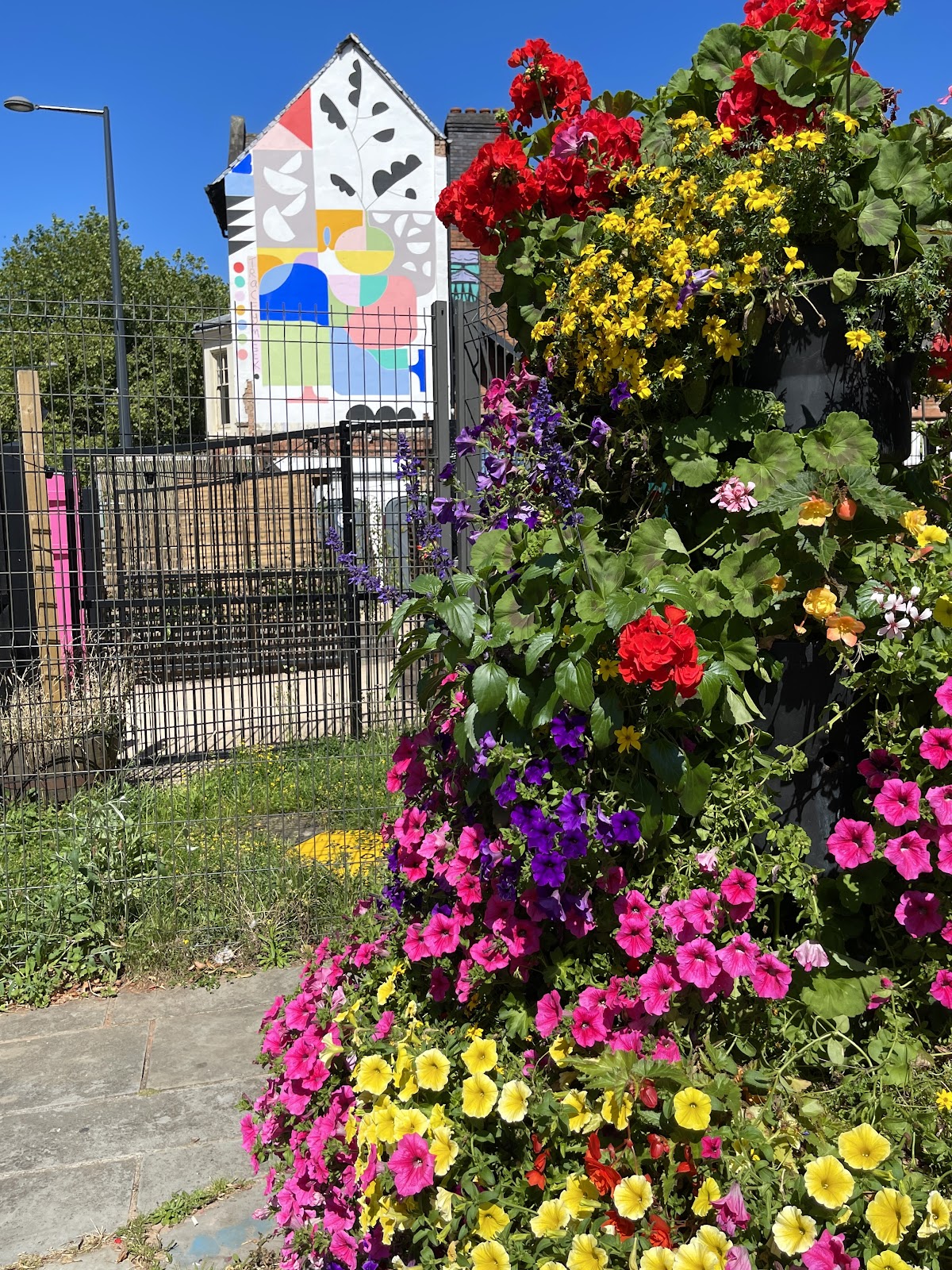 Electric Daisy — photo 2