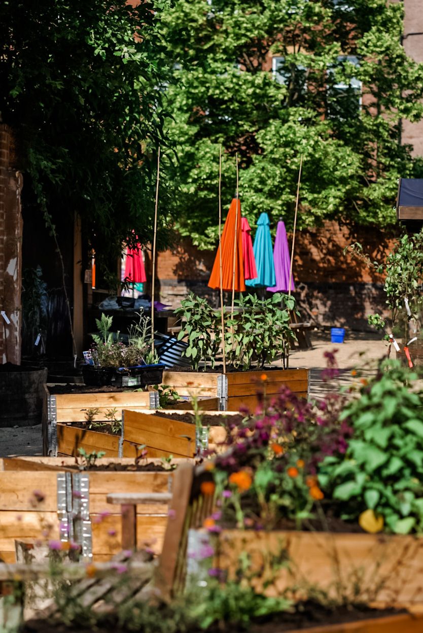 Electric Daisy — photo 3