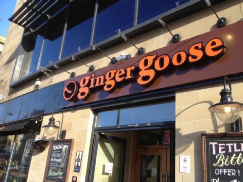 Ginger Goose — photo 1