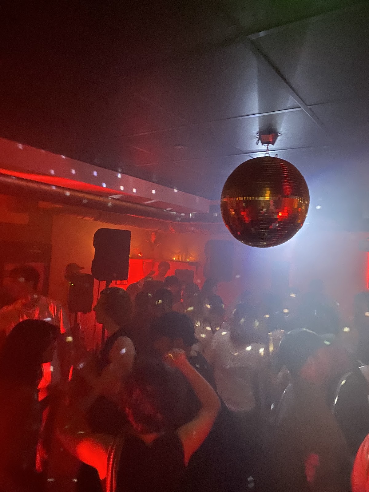 Gut Level — photo 3