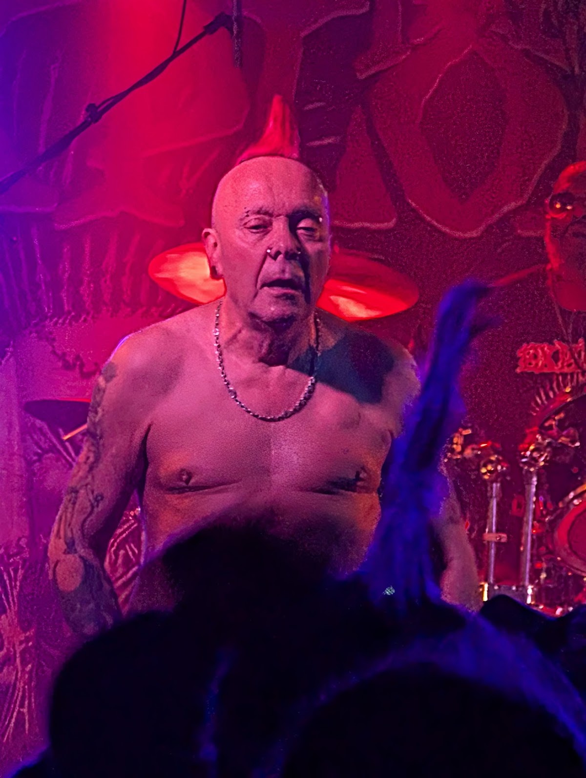 La Belle Angele — photo 2