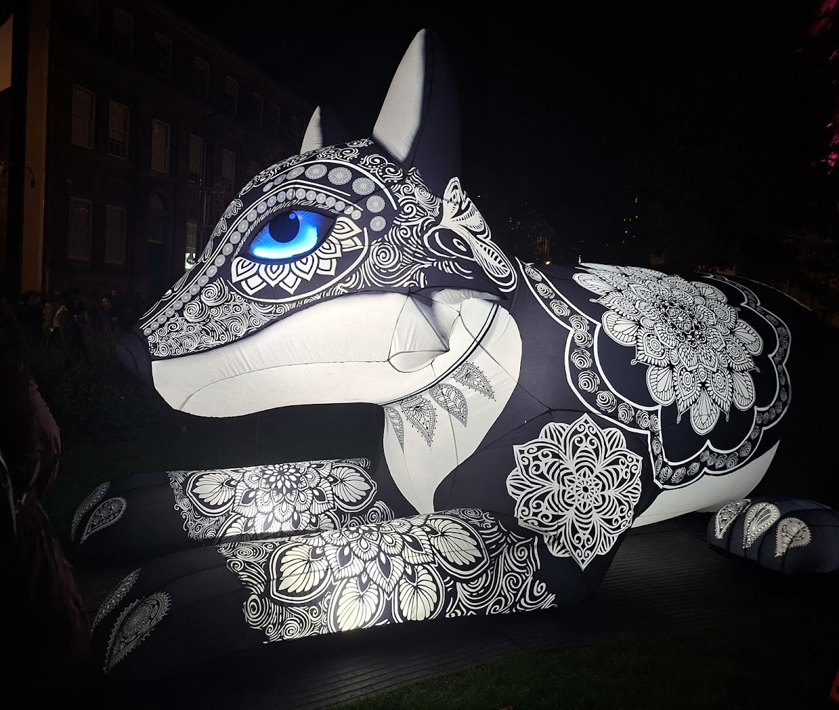 Leeds Light Night — photo 2