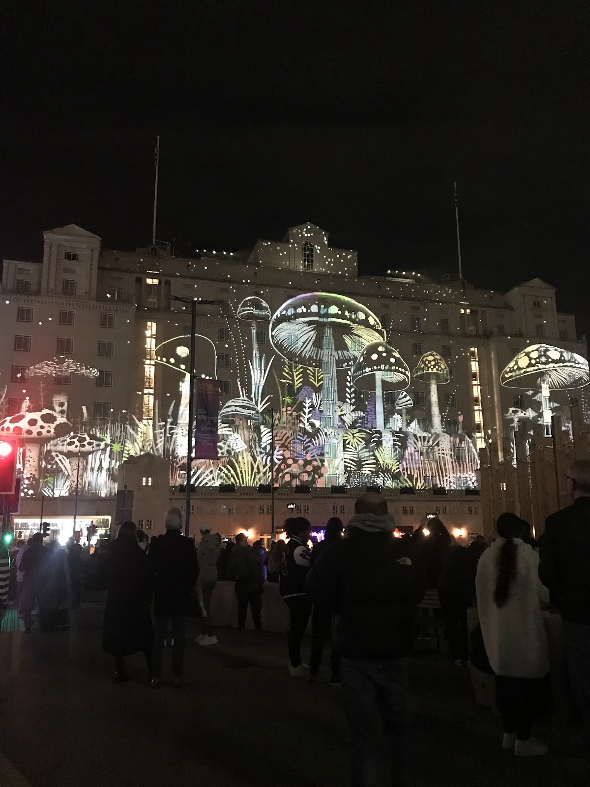 Leeds Light Night — photo 4