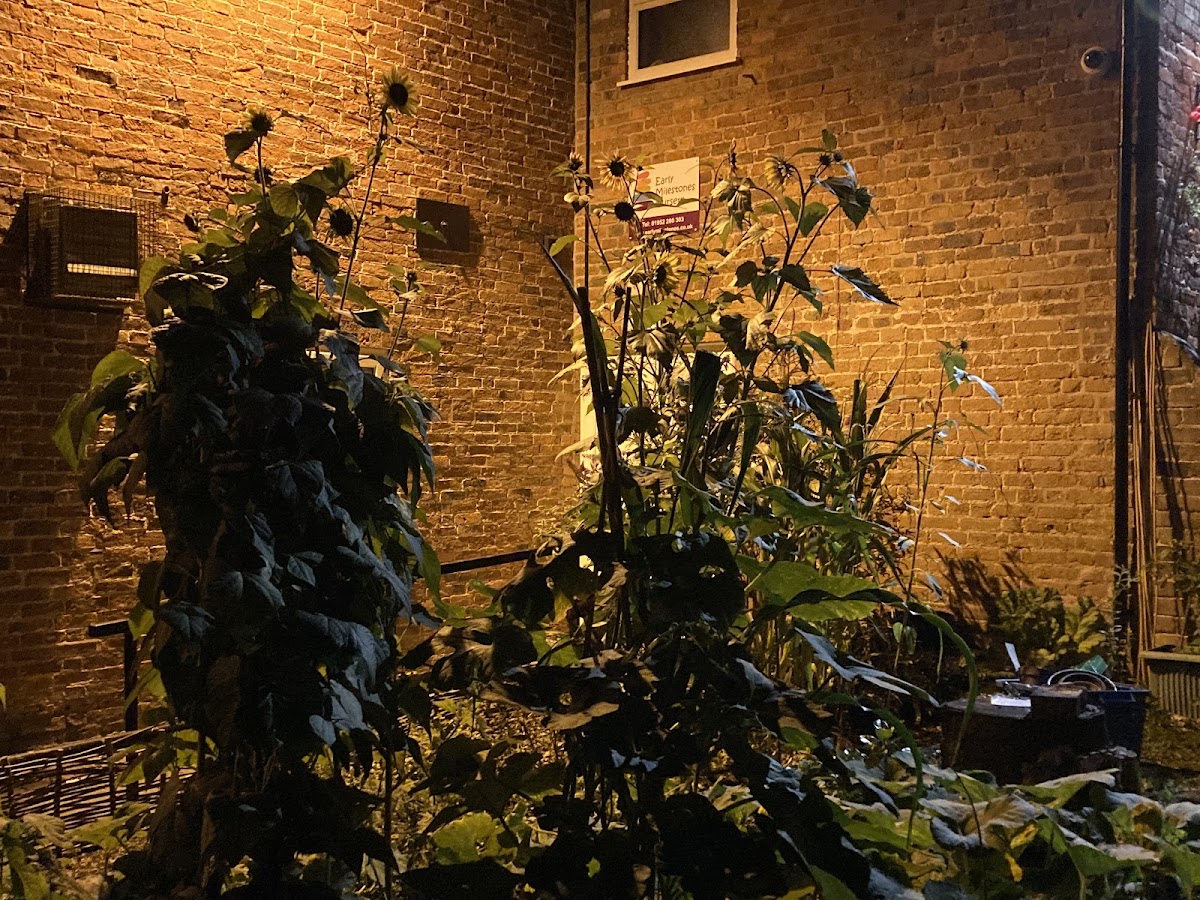 Leegomery Community Centre — photo 4