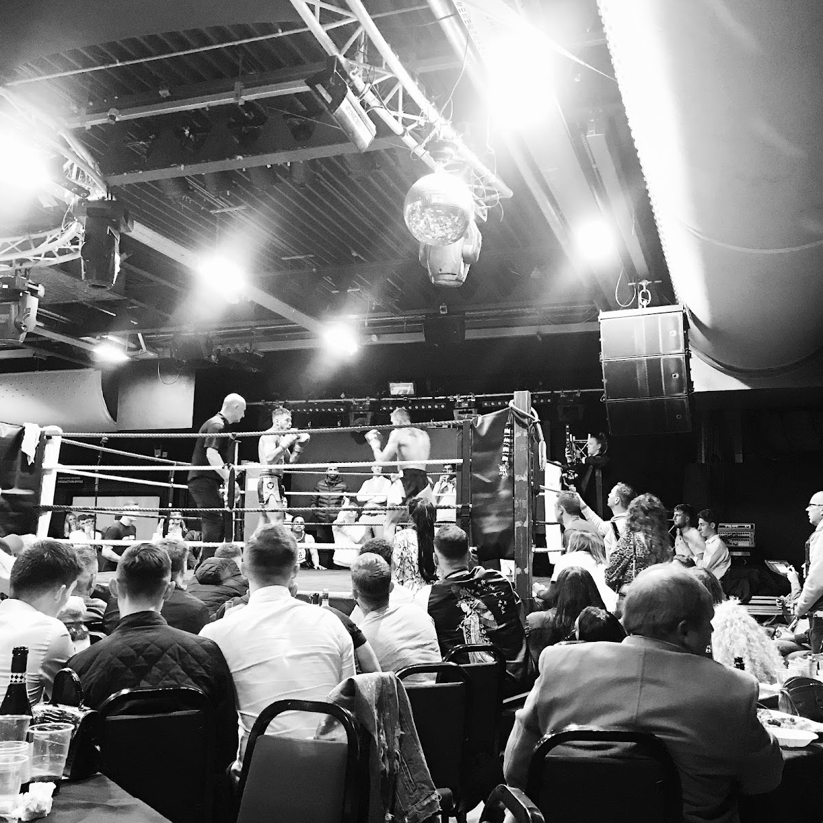 Lemon Grove — photo 3