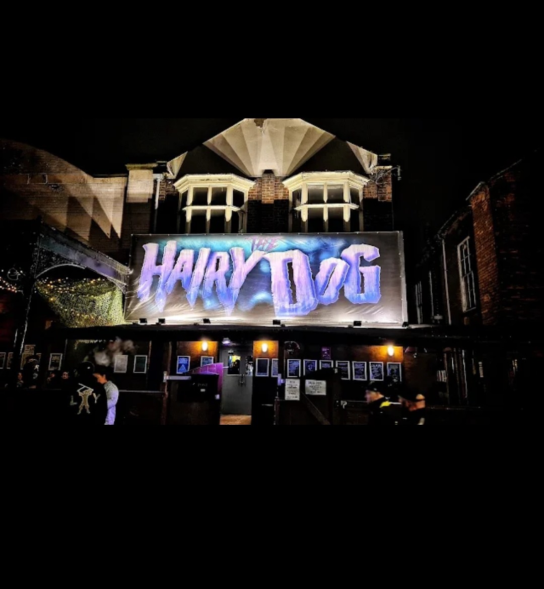 The Hairy Dog — photo 2