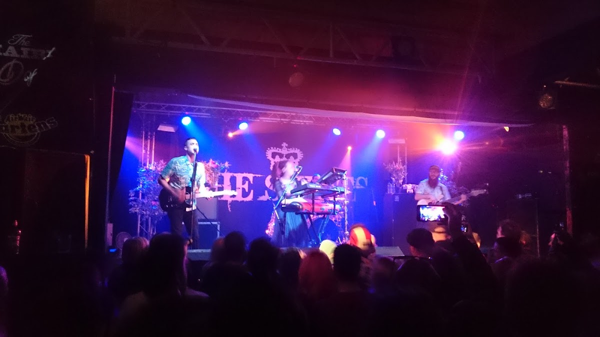 The Hairy Dog — photo 4