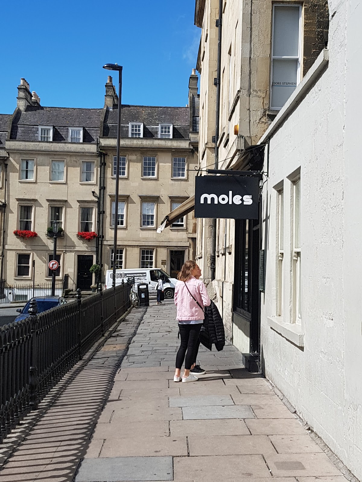Moles — photo 2