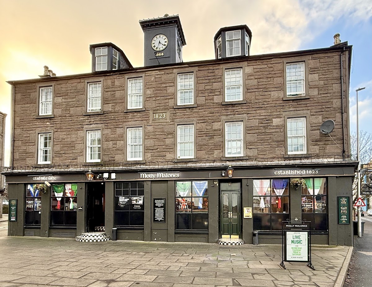 Molly Malones — photo 4