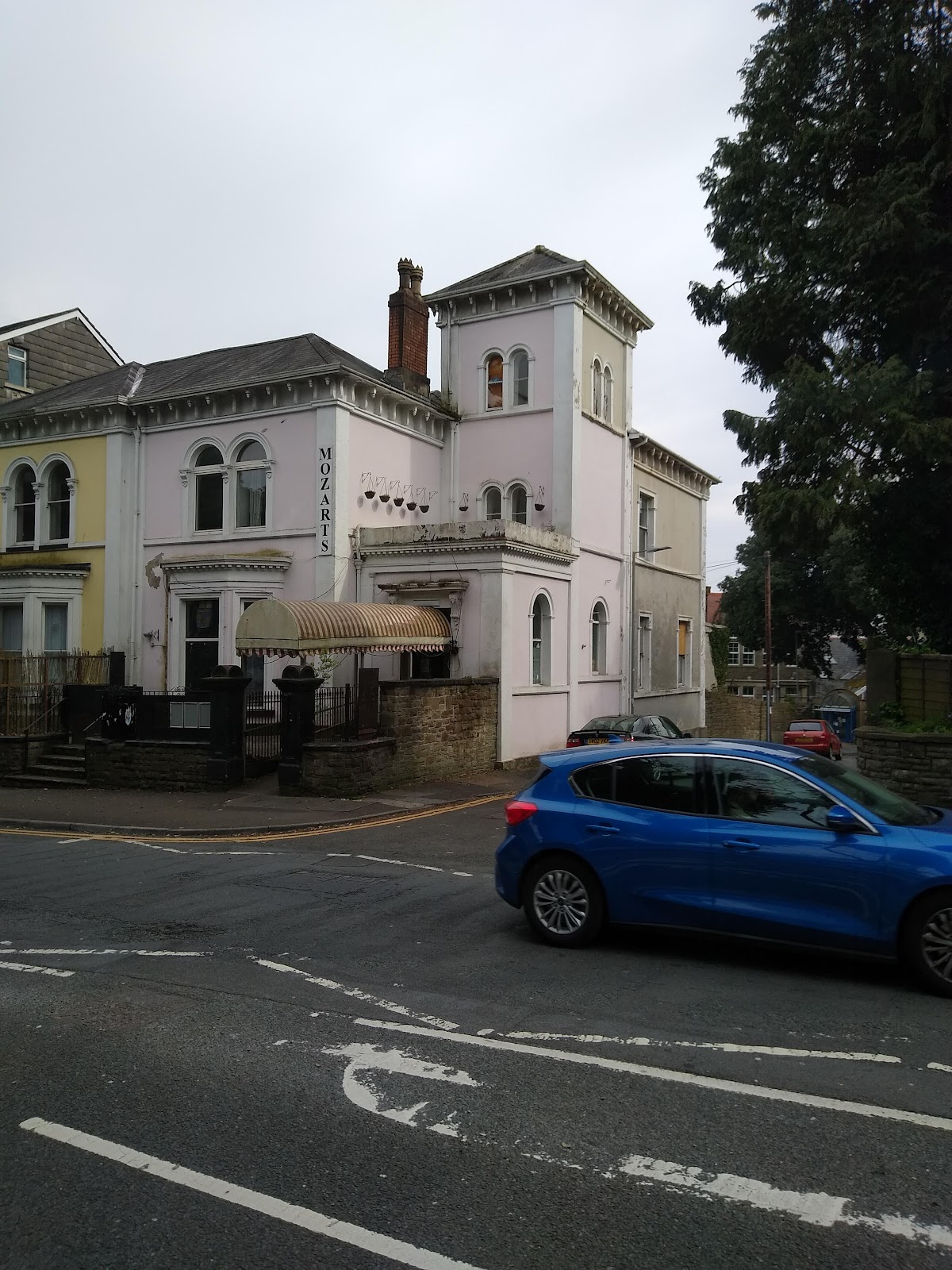 Mozart's — photo 3