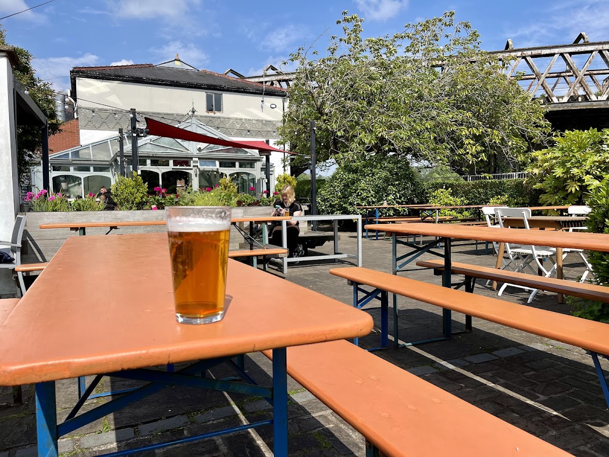 New Continental — photo 1