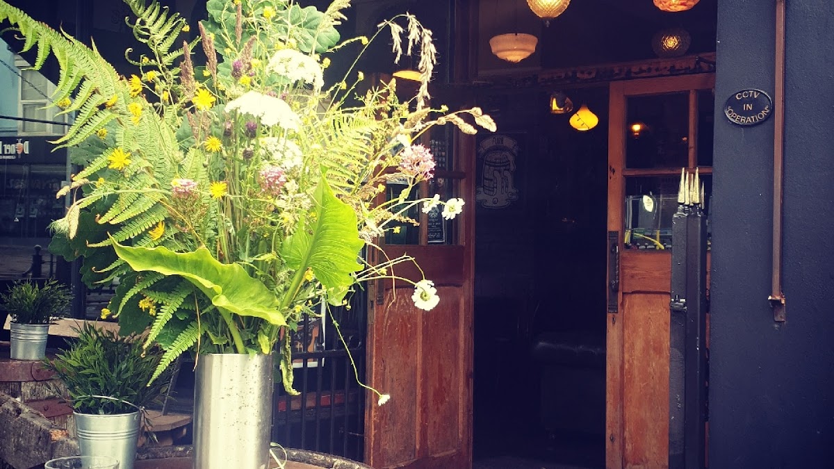 Noah's Yard — photo 3