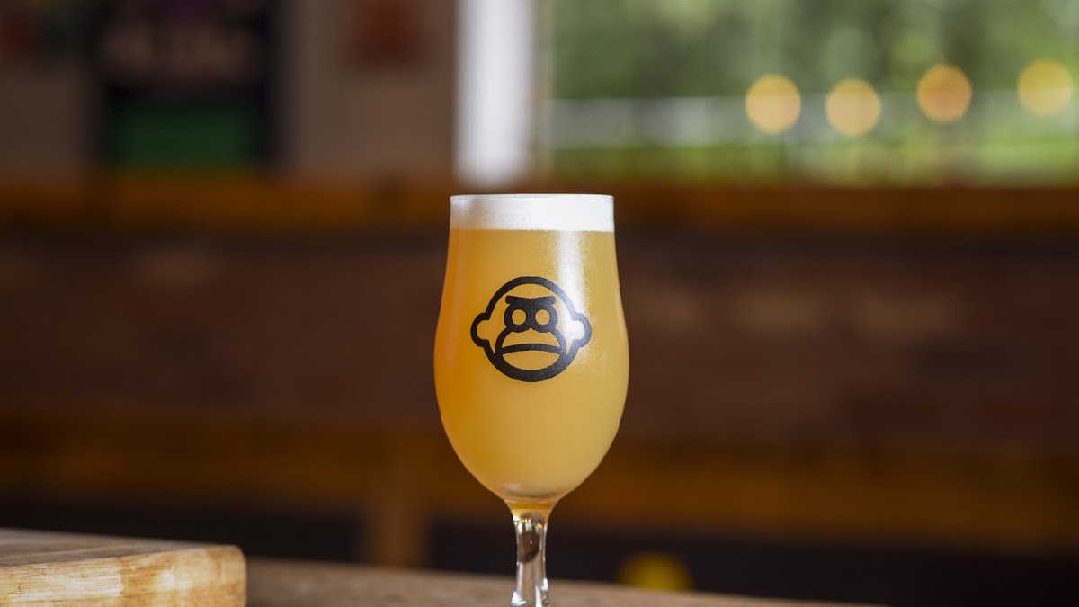 Northern Monkey Bar — photo 2