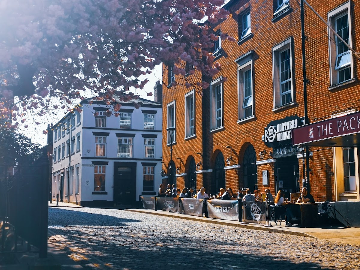 Northern Monkey Bar — photo 3