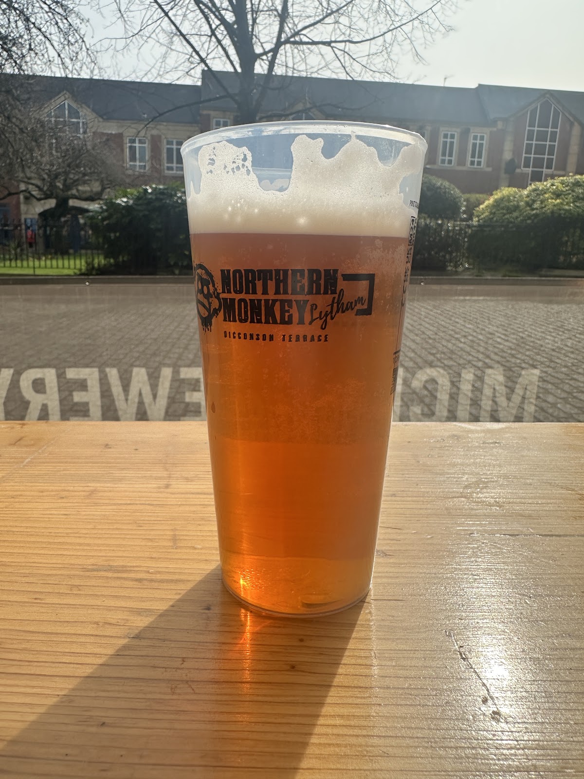 Northern Monkey Bar — photo 4