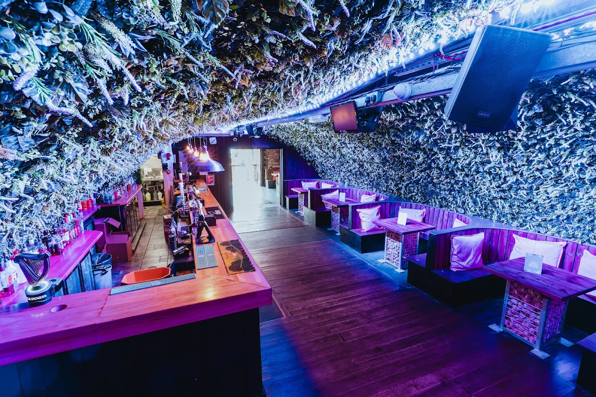 Out Out Ibiza — photo 4