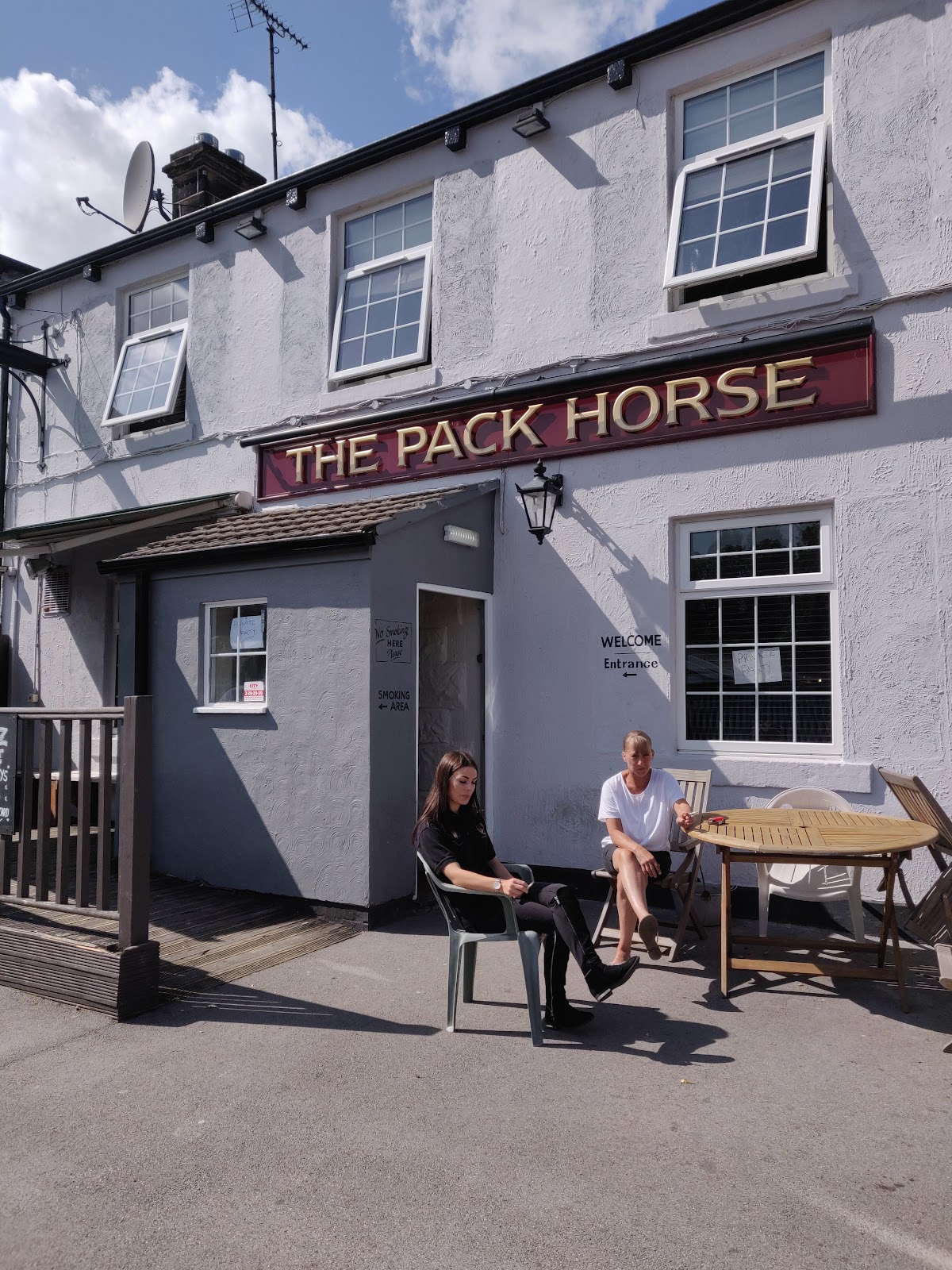 Pack Horse — photo 1