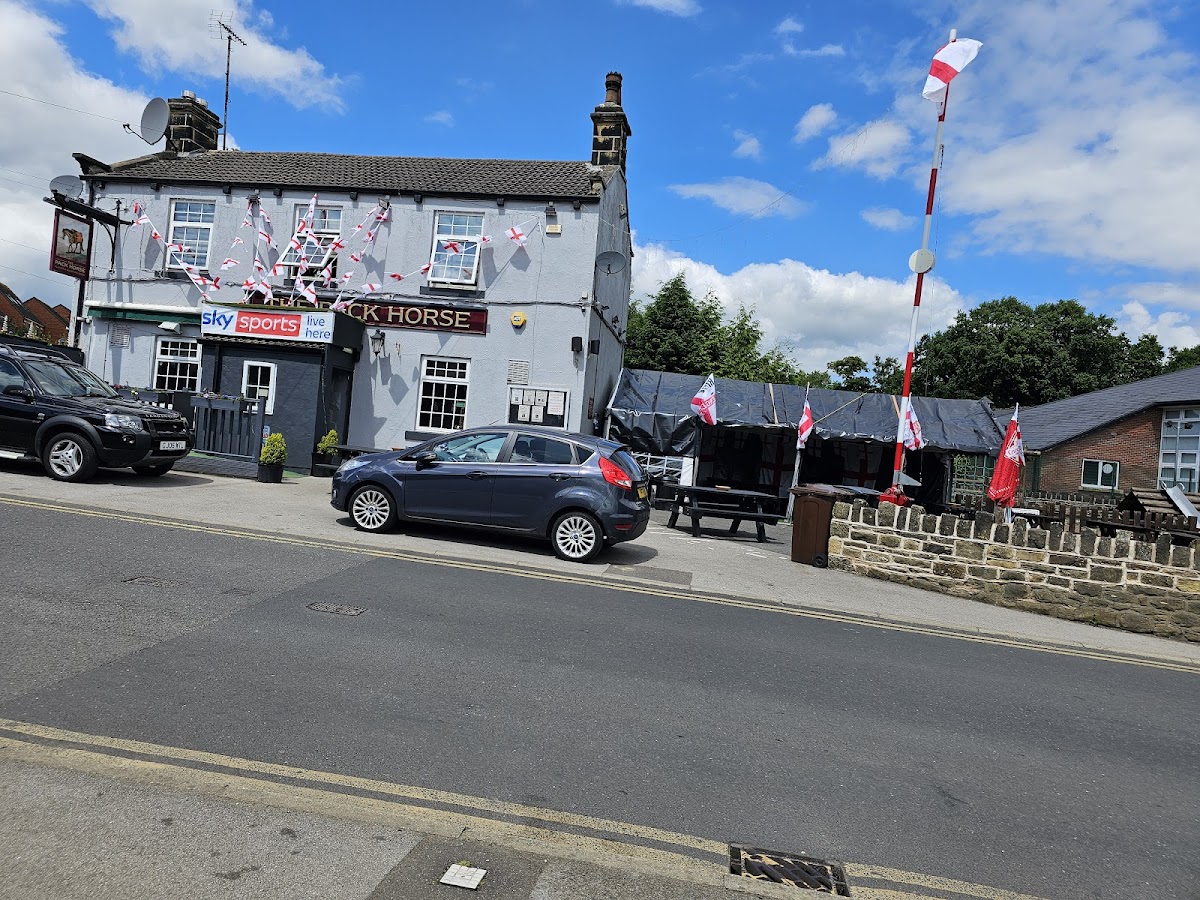 Pack Horse — photo 3