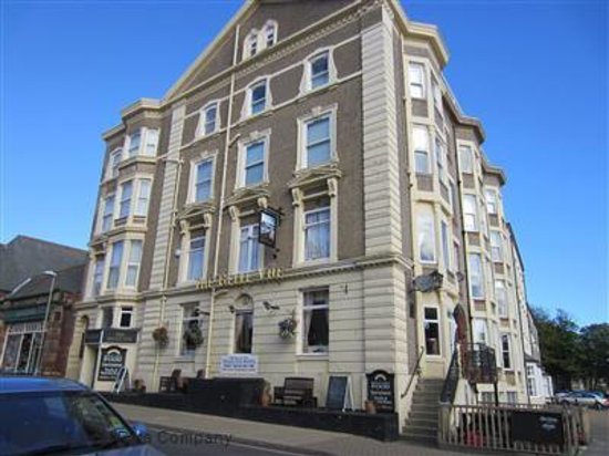 Pack Horse — photo 4