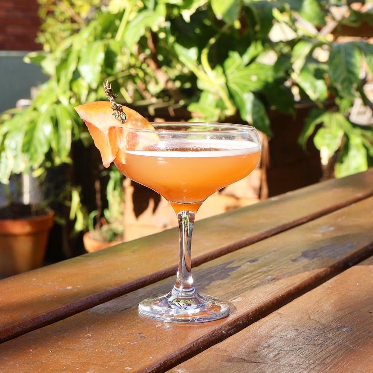 Paradise Garden — photo 2