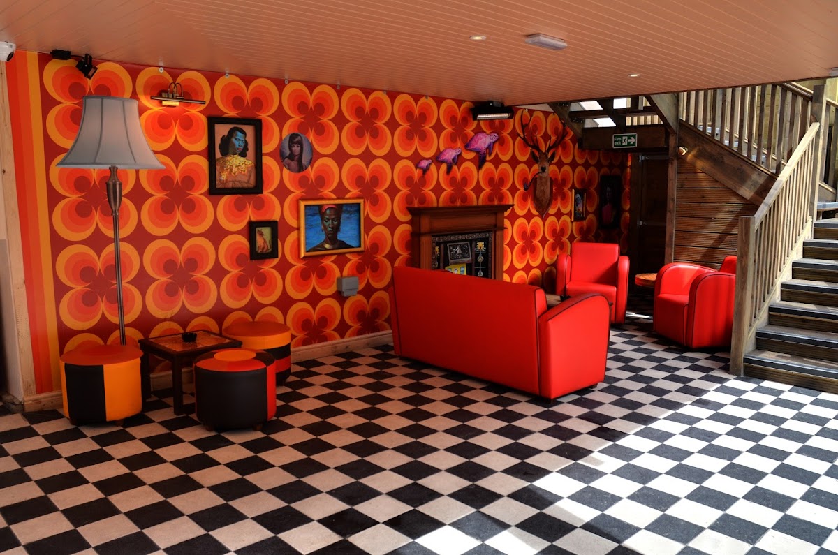 Purple Turtle — photo 1