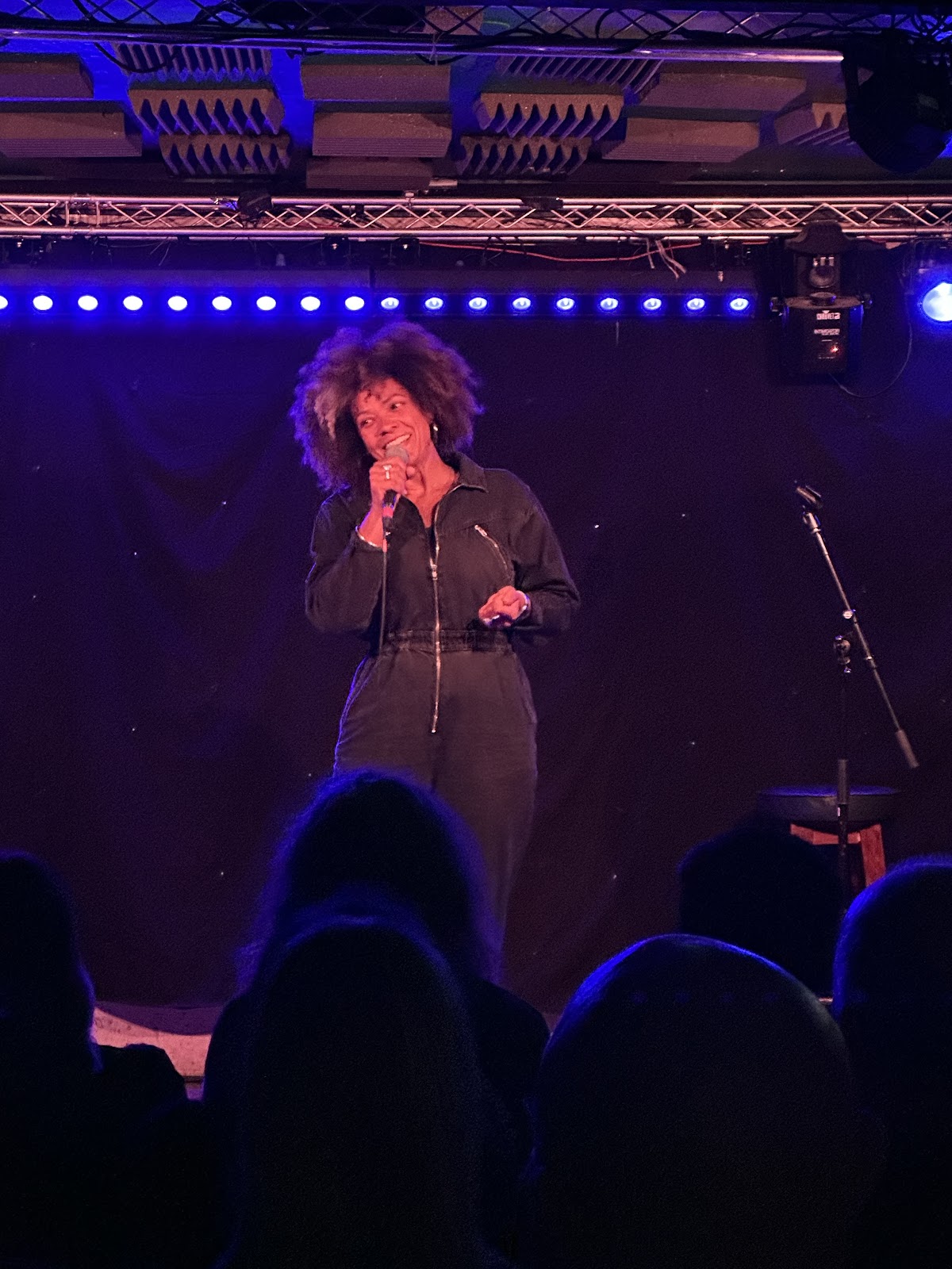 Stand Up in the Basement — photo 4