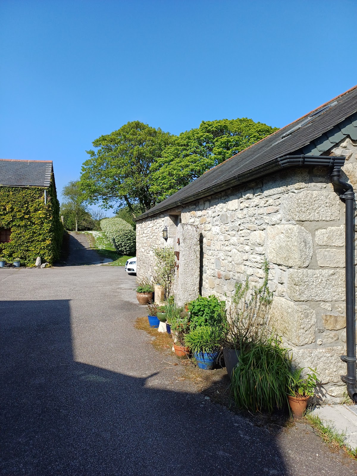 The Barn — photo 3