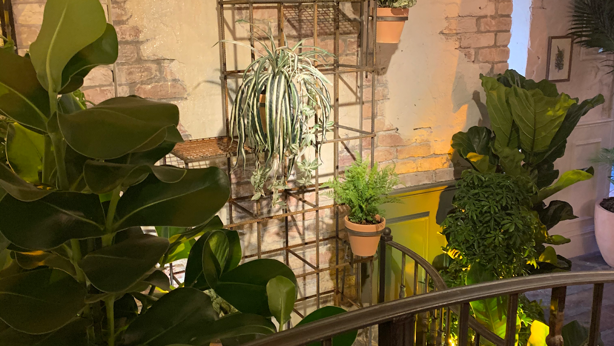 The Botanist Cardiff — photo 3