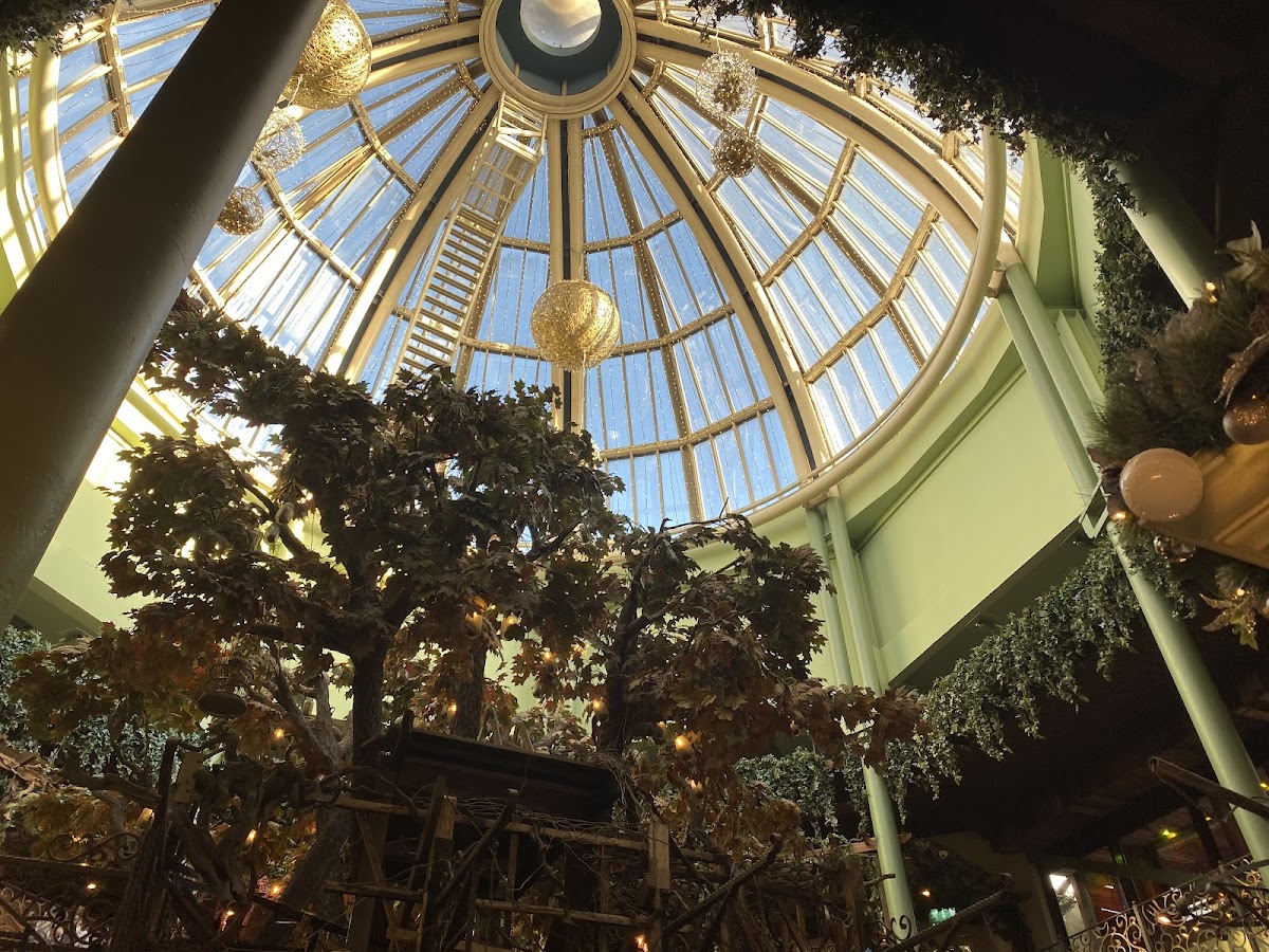 The Botanist Newcastle — photo 1