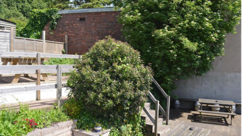 The Bowling Green — photo 3