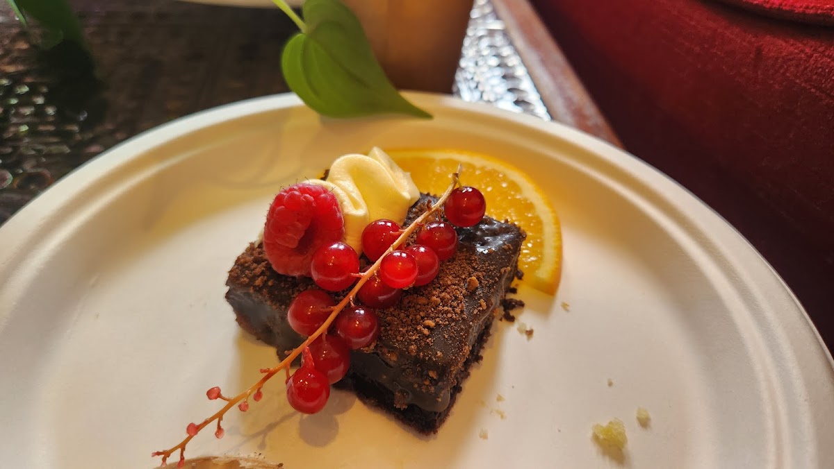 The Canopi — photo 4