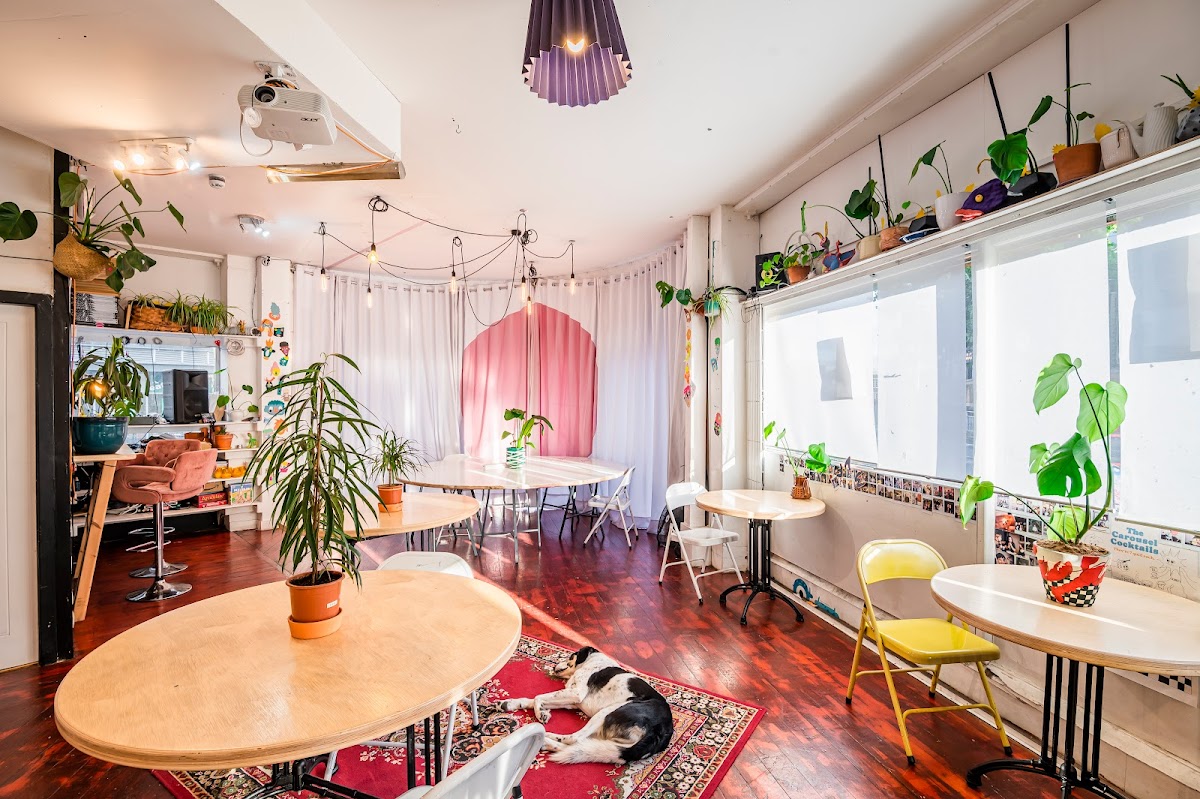 The Carousel — photo 2