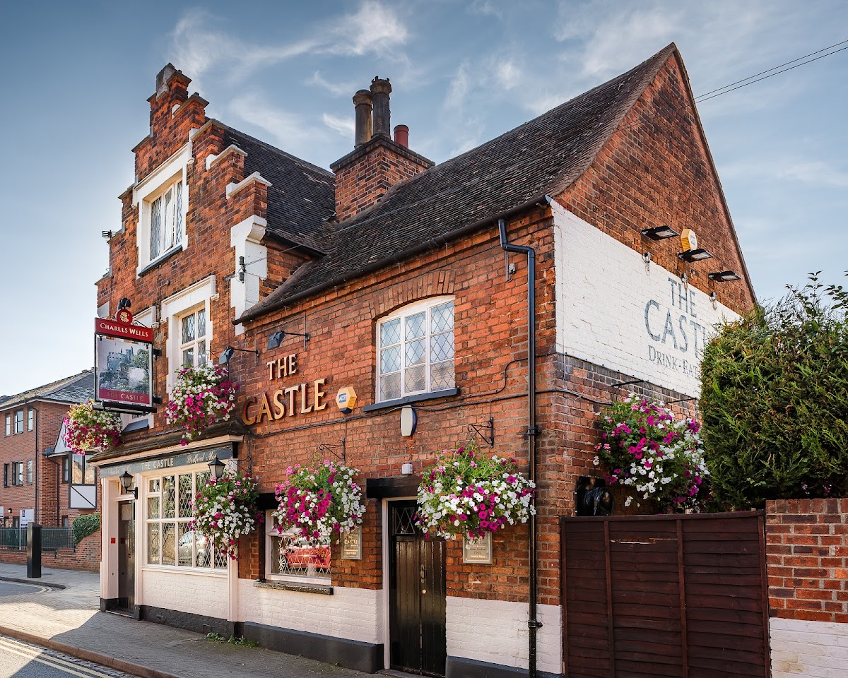 The Castle — photo 4