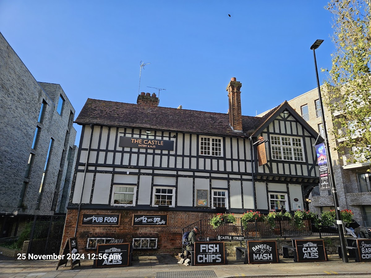 The Castle — photo 3