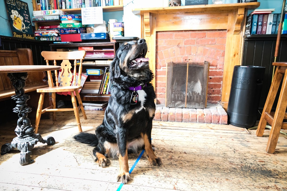 The Castle Tap — photo 3