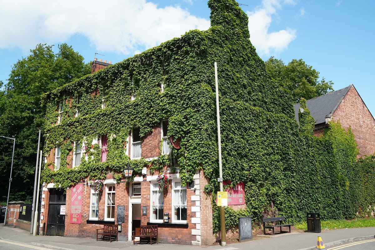 The Cherry Tree — photo 3